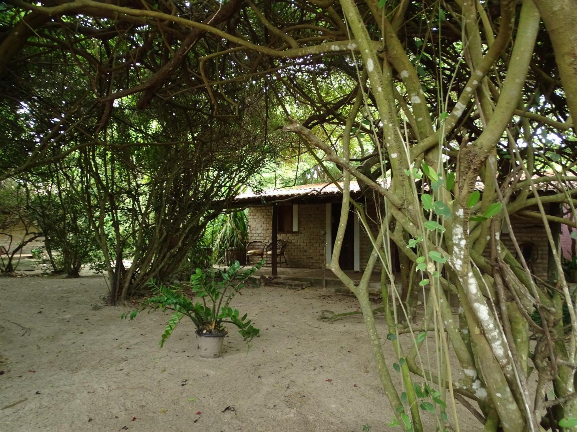 Готель Jungle House Сан-Мігел-ду-Гостозу Екстер'єр фото