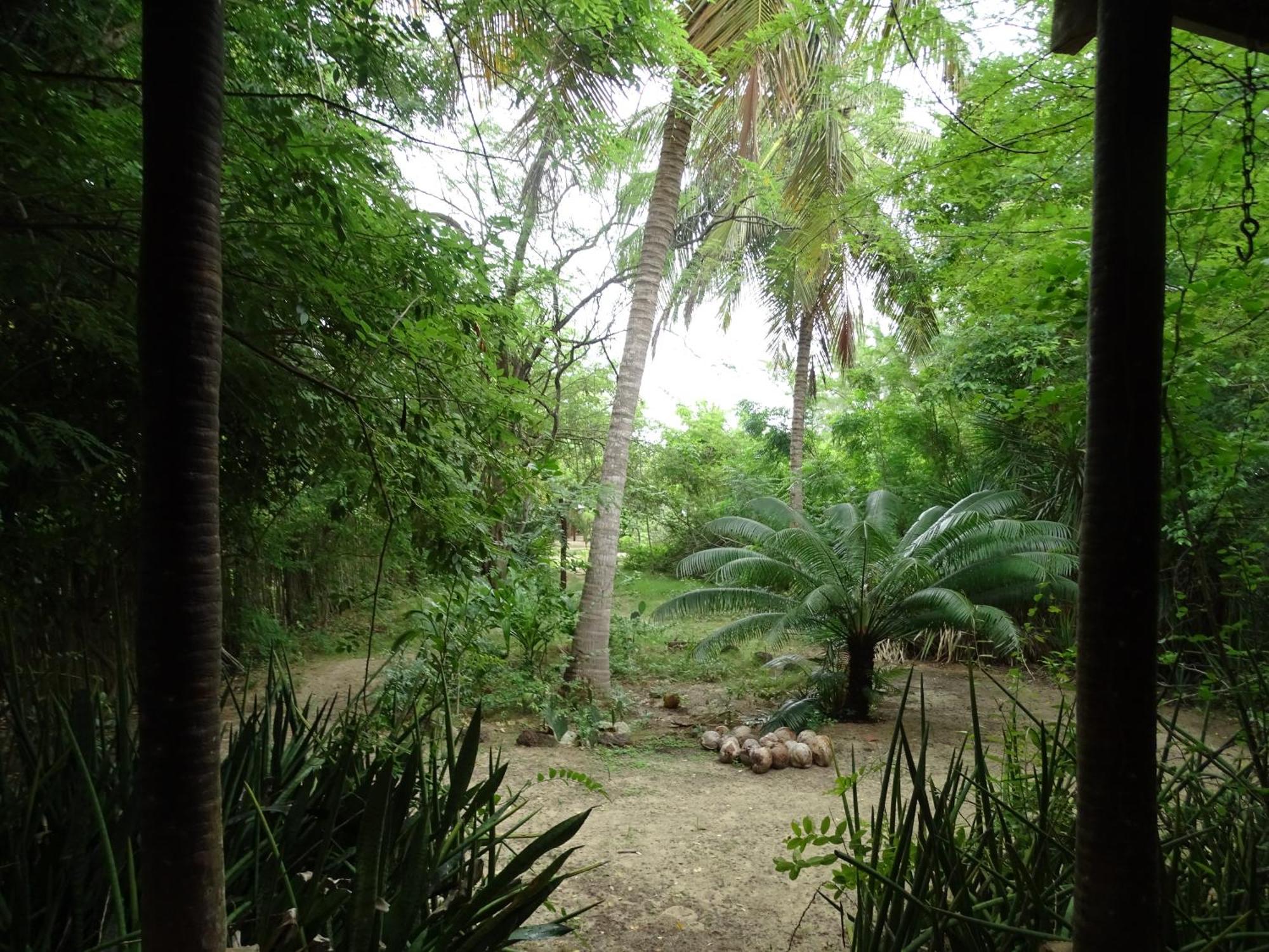 Готель Jungle House Сан-Мігел-ду-Гостозу Екстер'єр фото